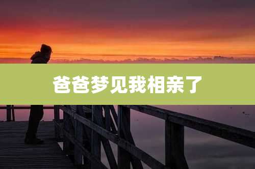 爸爸梦见我相亲了