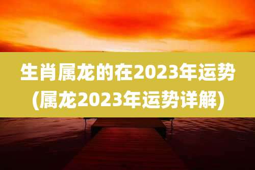 生肖属龙的在2023年运势(属龙2023年运势详解)