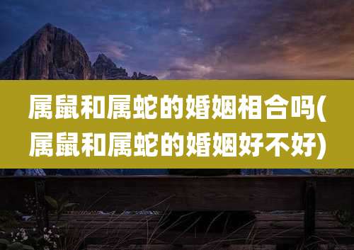 属鼠和属蛇的婚姻相合吗(属鼠和属蛇的婚姻好不好)