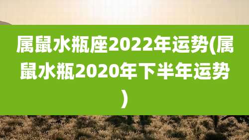 属鼠水瓶座2022年运势(属鼠水瓶2020年下半年运势)