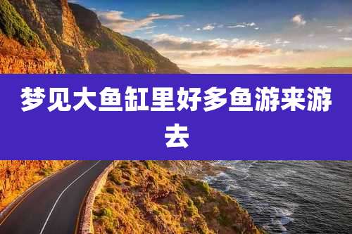 梦见大鱼缸里好多鱼游来游去