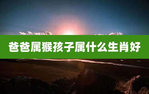 爸爸属猴孩子属什么生肖好