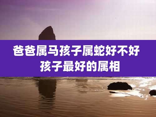 爸爸属马孩子属蛇好不好  孩子最好的属相