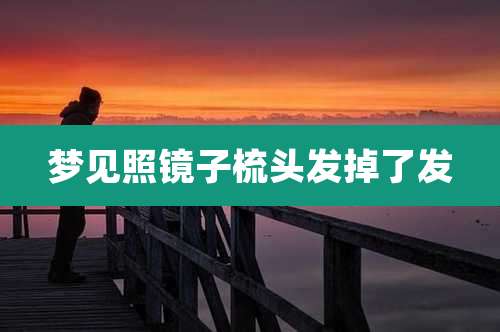 梦见照镜子梳头发掉了发