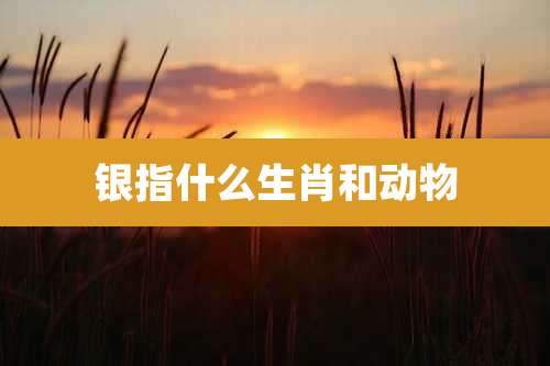银指什么生肖和动物
