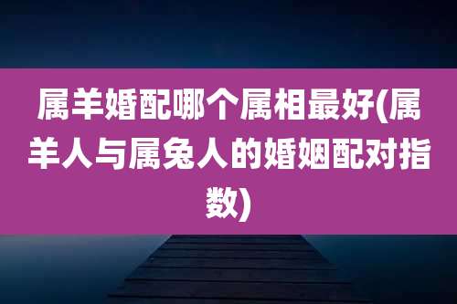 属羊婚配哪个属相最好(属羊人与属兔人的婚姻配对指数)