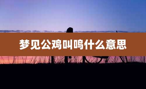 梦见公鸡叫鸣什么意思