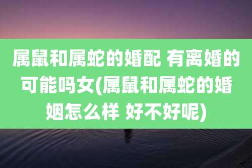属鼠和属蛇的婚配 有离婚的可能吗女(属鼠和属蛇的婚姻怎么样 好不好呢)