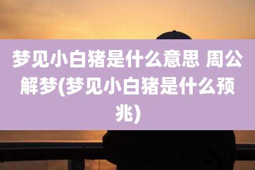 梦见小白猪是什么意思 周公解梦(梦见小白猪是什么预兆)
