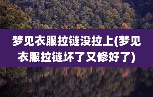 梦见衣服拉链没拉上(梦见衣服拉链坏了又修好了)