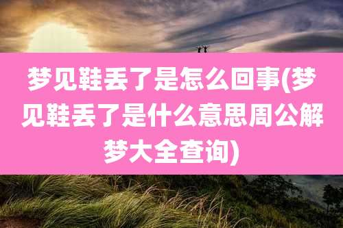 梦见鞋丢了是怎么回事(梦见鞋丢了是什么意思周公解梦大全查询)