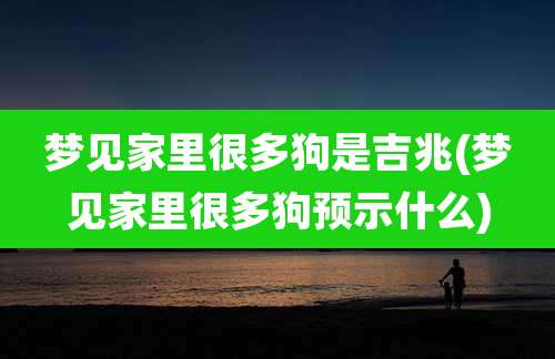 梦见家里很多狗是吉兆(梦见家里很多狗预示什么)