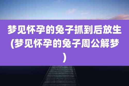 梦见怀孕的兔子抓到后放生(梦见怀孕的兔子周公解梦)