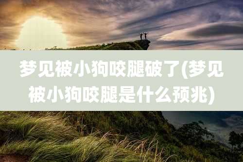 梦见被小狗咬腿破了(梦见被小狗咬腿是什么预兆)