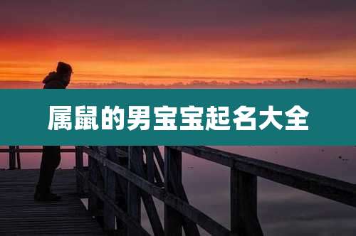 属鼠的男宝宝起名大全