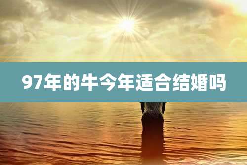 97年的牛今年适合结婚吗