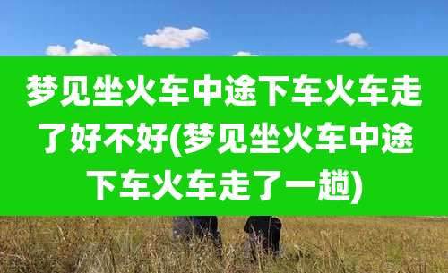 梦见坐火车中途下车火车走了好不好(梦见坐火车中途下车火车走了一趟)