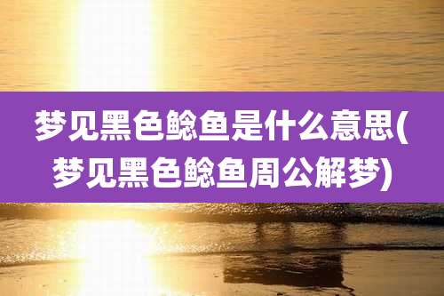 梦见黑色鲶鱼是什么意思(梦见黑色鲶鱼周公解梦)