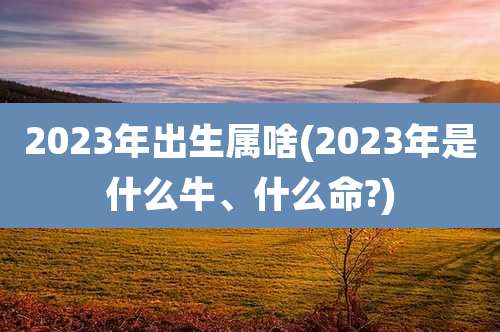 2023年出生属啥(2023年是什么牛、什么命?)