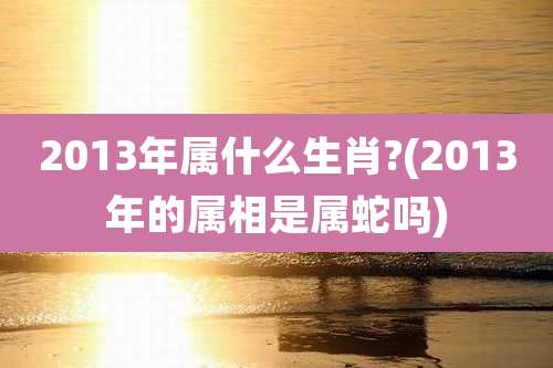 2013年属什么生肖?(2013年的属相是属蛇吗)