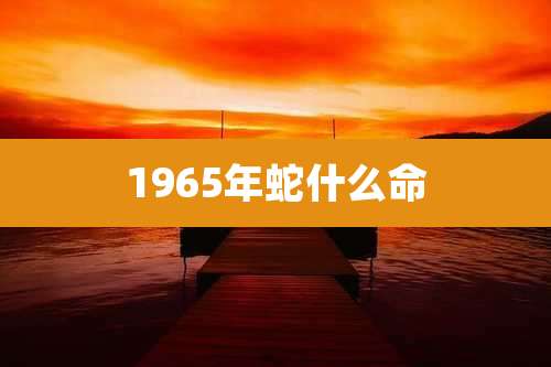 1965年蛇什么命