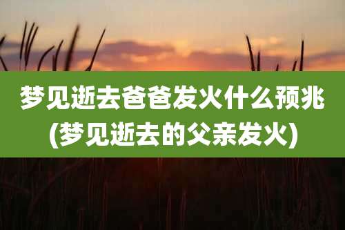 梦见逝去爸爸发火什么预兆(梦见逝去的父亲发火)