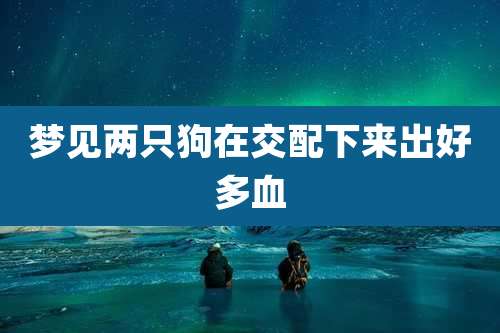 梦见两只狗在交配下来出好多血