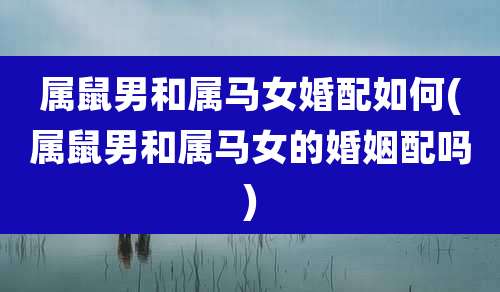 属鼠男和属马女婚配如何(属鼠男和属马女的婚姻配吗)