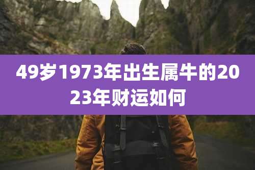 49岁1973年出生属牛的2023年财运如何