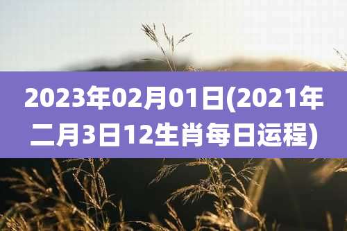 2023年02月01日(2021年二月3日12生肖每日运程)