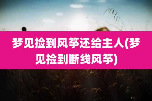 梦见捡到风筝还给主人(梦见捡到断线风筝)
