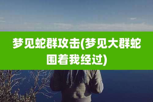 梦见蛇群攻击(梦见大群蛇围着我经过)