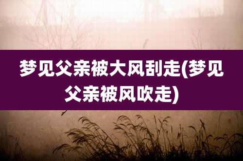 梦见父亲被大风刮走(梦见父亲被风吹走)
