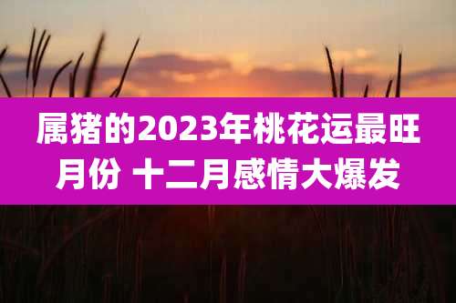 属猪的2023年桃花运最旺月份 十二月感情大爆发