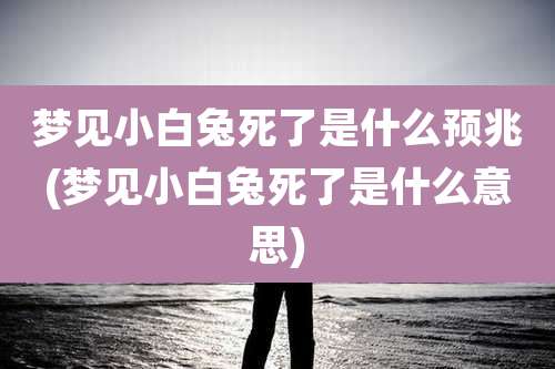 梦见小白兔死了是什么预兆(梦见小白兔死了是什么意思)