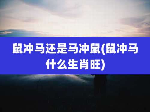 鼠冲马还是马冲鼠(鼠冲马什么生肖旺)