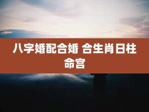 八字婚配合婚 合生肖日柱命宫