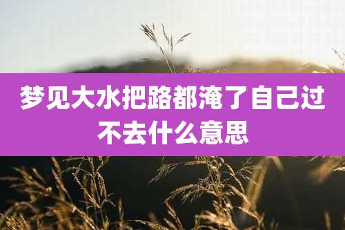 梦见大水把路都淹了自己过不去什么意思