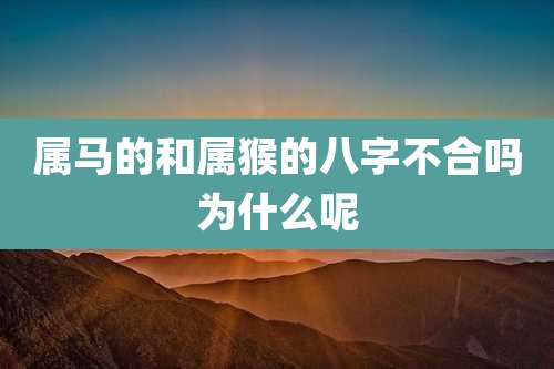 属马的和属猴的八字不合吗为什么呢