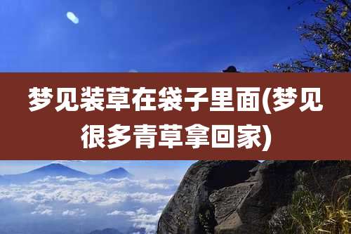 梦见装草在袋子里面(梦见很多青草拿回家)