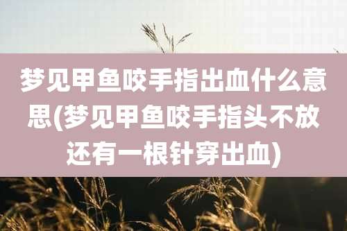梦见甲鱼咬手指出血什么意思(梦见甲鱼咬手指头不放还有一根针穿出血)