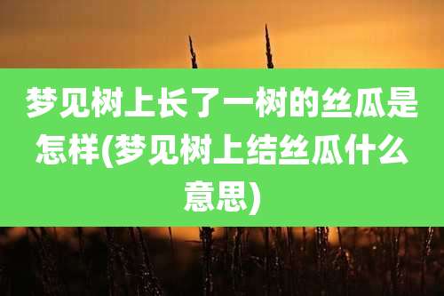 梦见树上长了一树的丝瓜是怎样(梦见树上结丝瓜什么意思)