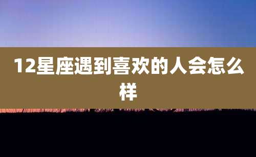 12星座遇到喜欢的人会怎么样