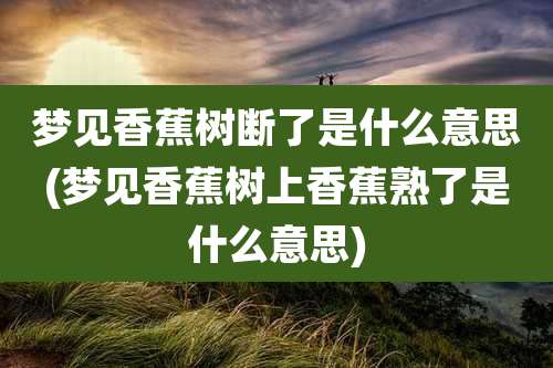 梦见香蕉树断了是什么意思(梦见香蕉树上香蕉熟了是什么意思)