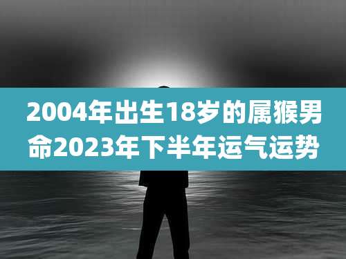 2004年出生18岁的属猴男命2023年下半年运气运势