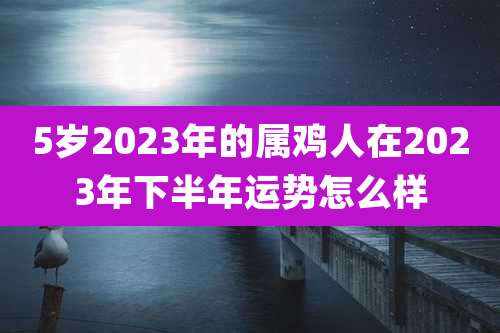 5岁2023年的属鸡人在2023年下半年运势怎么样