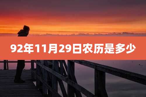 92年11月29日农历是多少