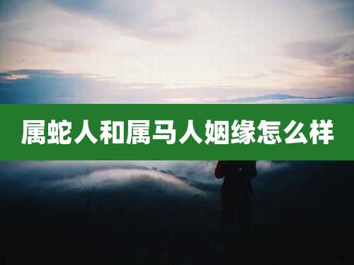 属蛇人和属马人姻缘怎么样