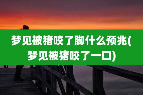 梦见被猪咬了脚什么预兆(梦见被猪咬了一口)