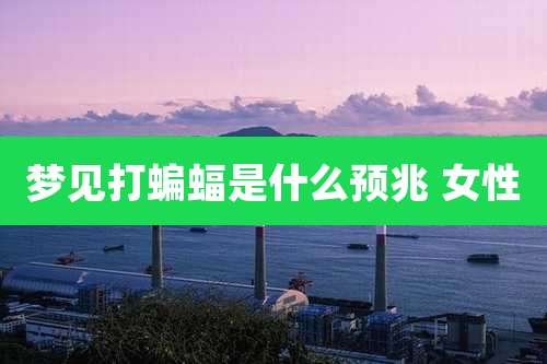 梦见打蝙蝠是什么预兆 女性